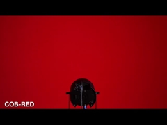 Равенство УДАРА RGBW может