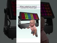 Поэтому я спросил у мамы, могу ли я купить фонарик...