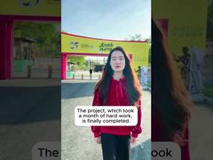 Дело о проекте Шунде Брюса Ли