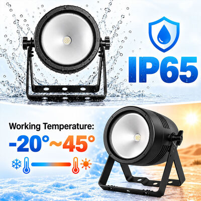 Waterproof IP65 100W RGBL 4in1 Beam Cob Led Par Can Light for Church Theater Wedding
