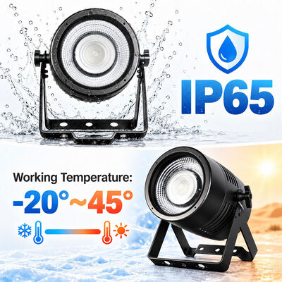 Factory Supply IP65 Waterproof 100W RGBL 2W RGBA LED Parcan Lights Stage Magic Par Light